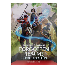 Dungeons & Dragons Heroes of Faerun cover art evoking epic campaigns