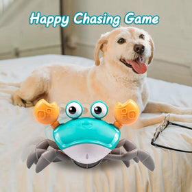 Dusja Crab Toy doubles as a tummy-time companion for babies during exploration
