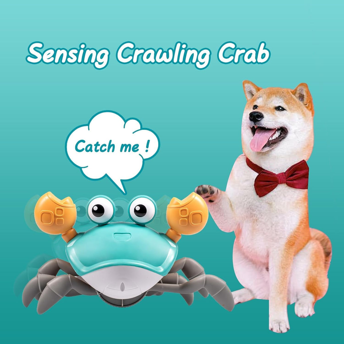 Dusja Gift-ready crab toy arrives in attractive packaging for birthdays or holidays