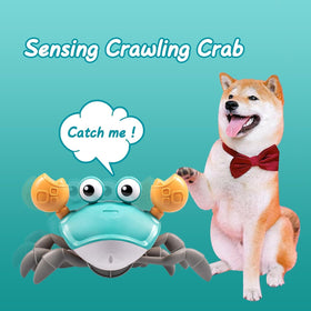 Dusja Gift-ready crab toy arrives in attractive packaging for birthdays or holidays