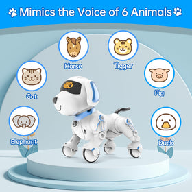 Dwi Dowellin robot dog age-appropriate toy for kids aged 8–12