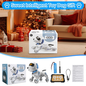Dwi Dowellin robot dog dancing and singing routines during playtime
