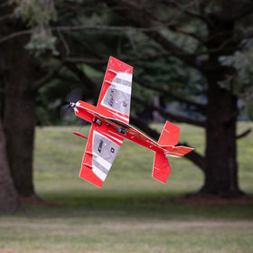 E-flite UMX Eratix 3D FF 450mm motor and prop saver setup