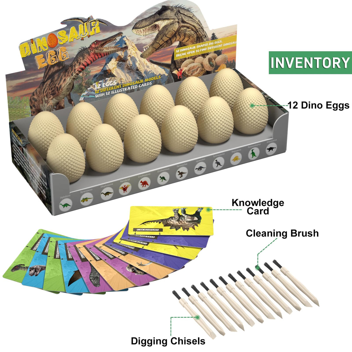 EARTH'SCODE digging tools and brushes for careful excavation.