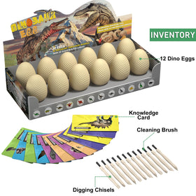 EARTH'SCODE digging tools and brushes for careful excavation.