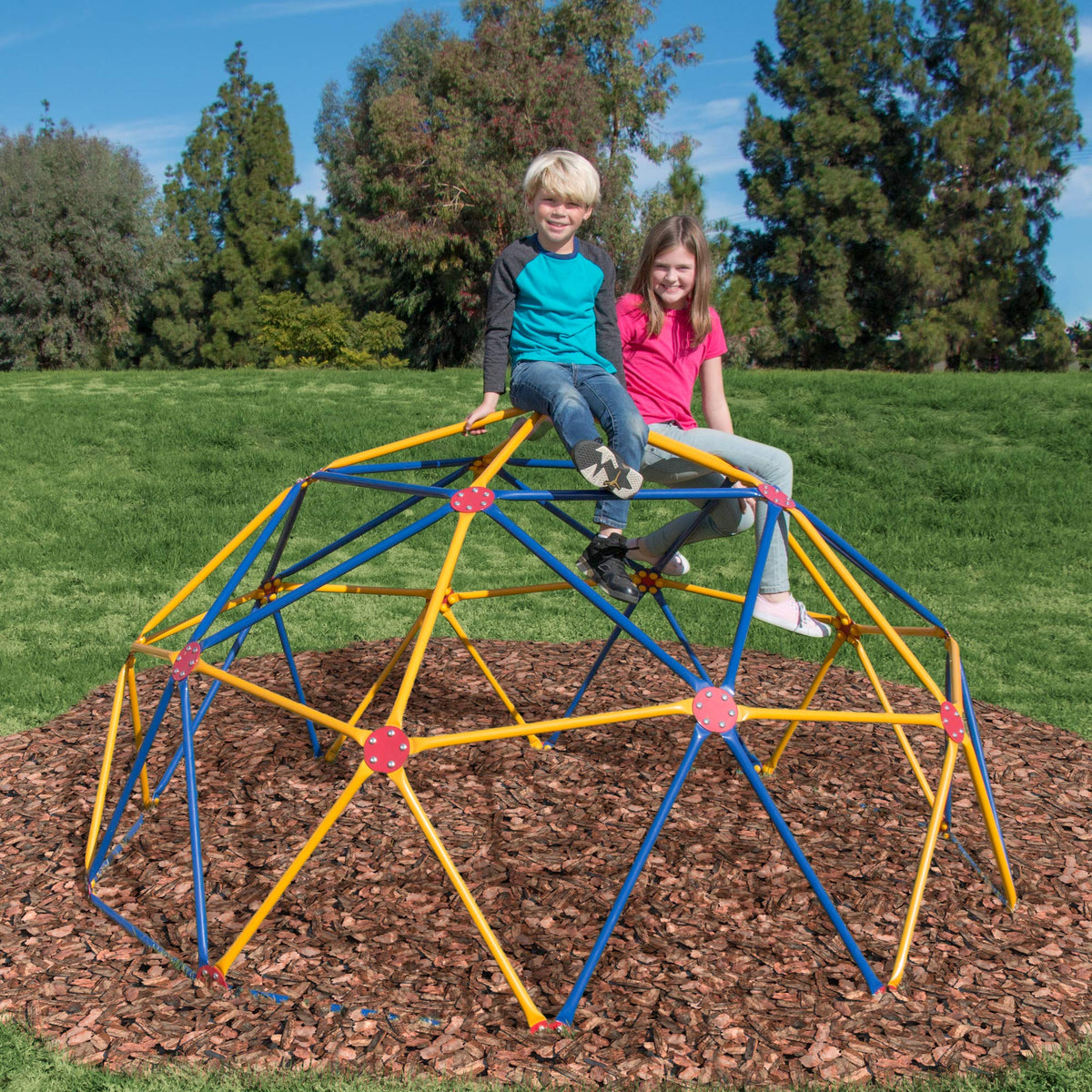 Easy Outdoor Space Dome Climber close-up reveals rust- and UV-resistant steel.