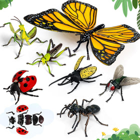 ECOHDT 7pcs lifelike 3D insect collection for hands-on science exploration.