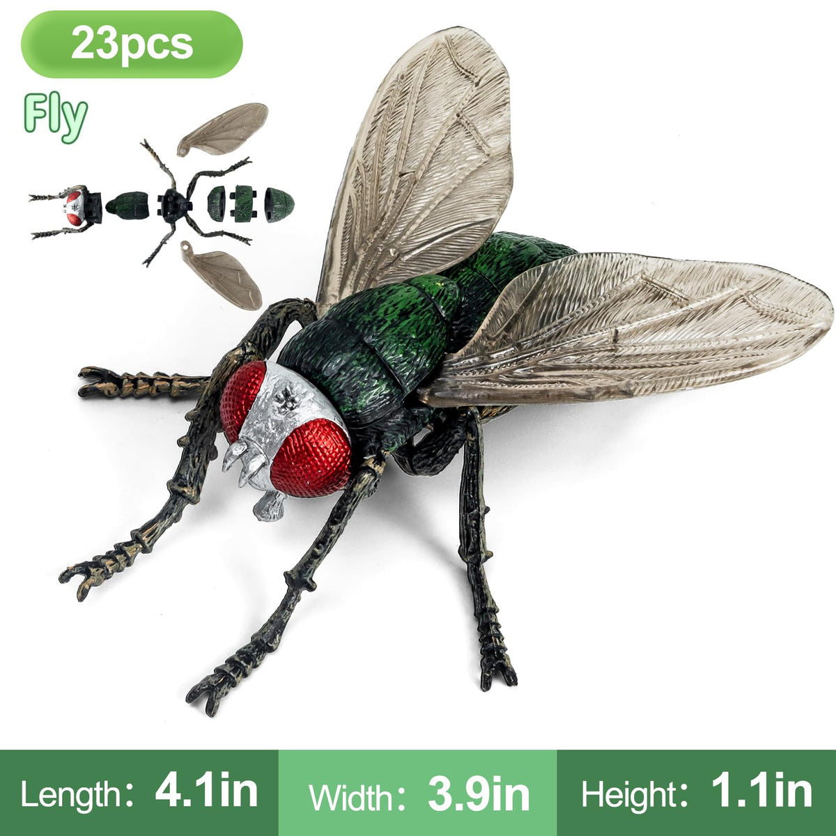ECOHDT bee-exoskeleton-detail emphasizes texture and anatomy for close study.