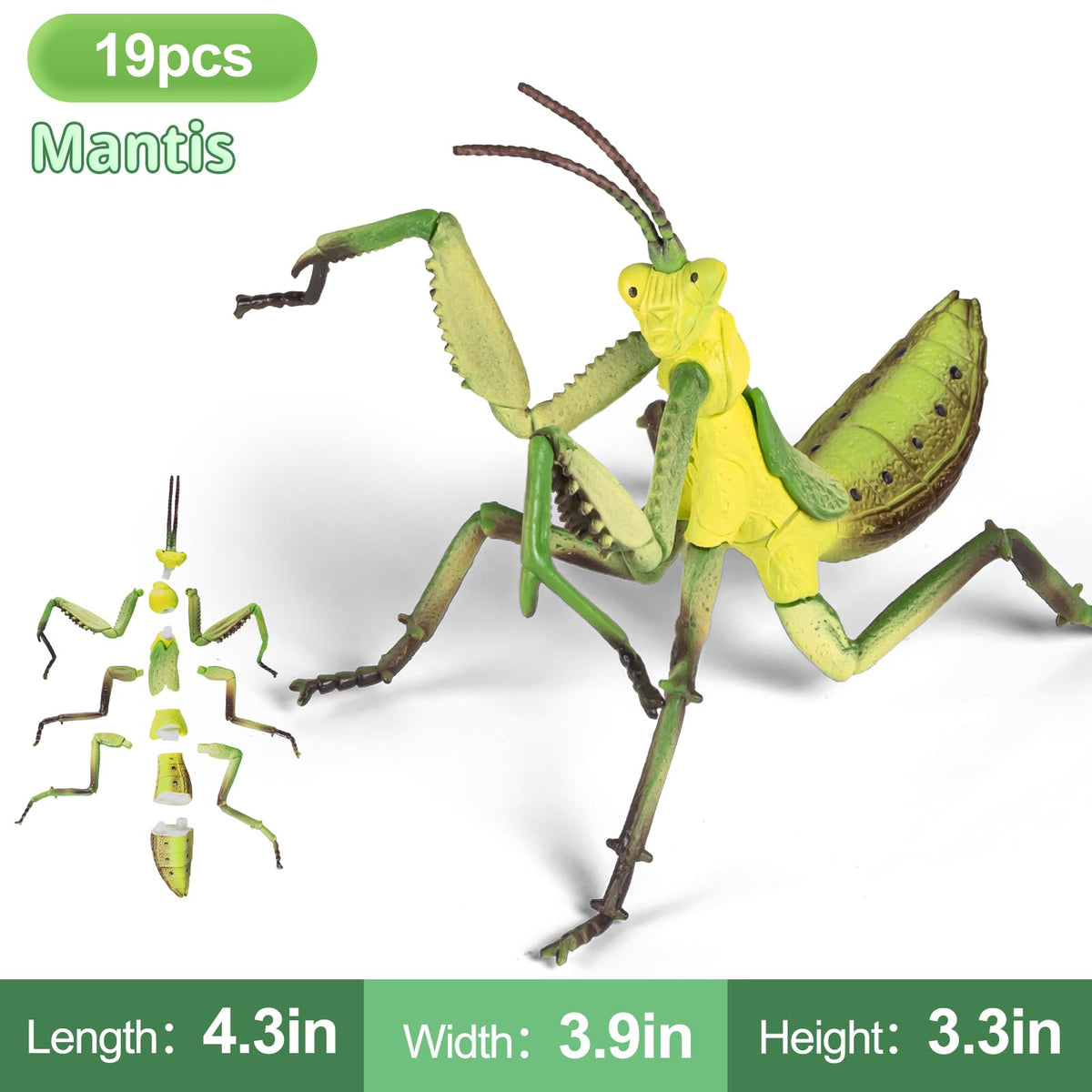 ECOHDT mantis-model-pose offers lifelike posture for storytelling and role-play.