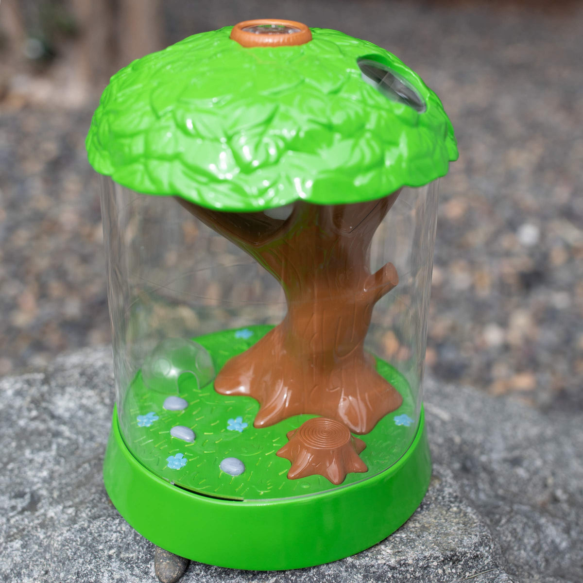 Certificate for larvae creates anticipation and a practical way to obtain live ladybugs.