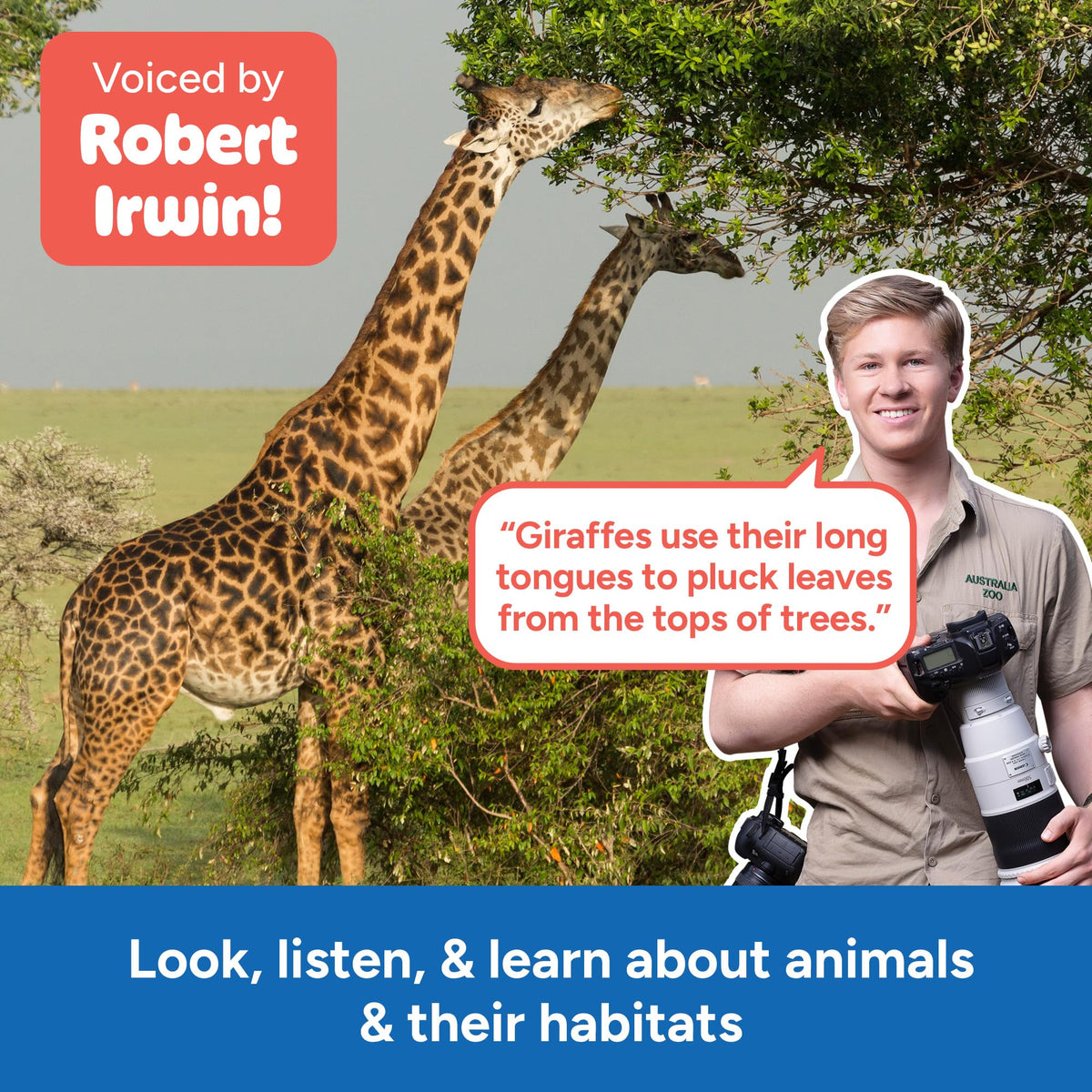 Educational Insights GeoSafari Robert Irwin photos showcase animal science basics.