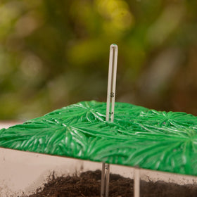 Educational Insights see-through compost container magnification spots ready for direct observation during activities.