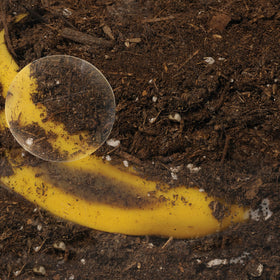 Educational Insights see-through compost container thermometers displaying temperature changes during decomposition.