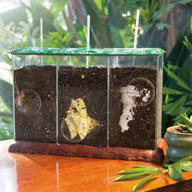 Educational Insights see-through compost container three-view compartments enable material comparisons in lessons.