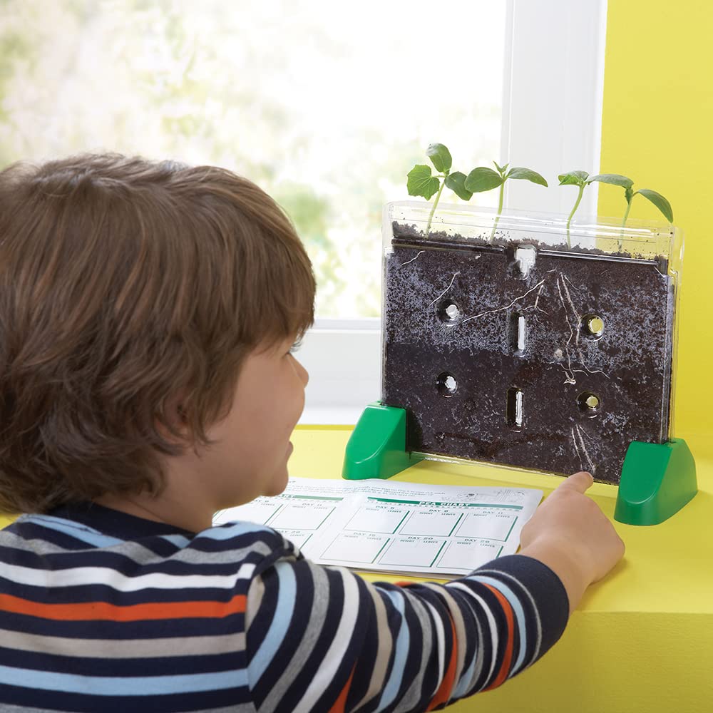 Educational Insights Sprout & Grow Window bean and pea seeds ready for hands-on planting.