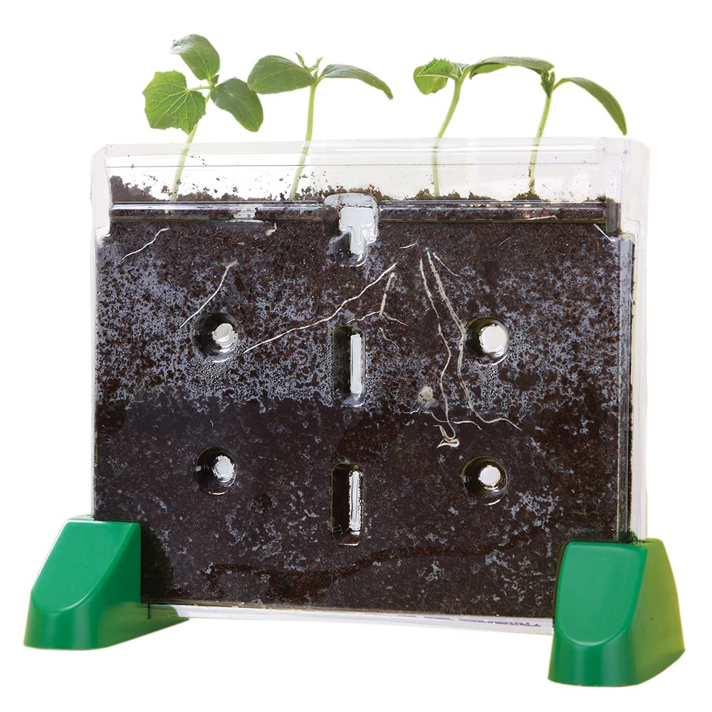 Educational Insights Sprout & Grow Window see-through design enables up-close seed sprouting observations.