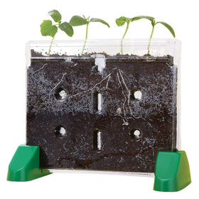 Educational Insights Sprout & Grow Window see-through design enables up-close seed sprouting observations.