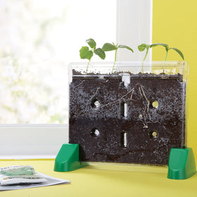 Educational Insights Sprout & Grow Window step-by-step instructions guide easy classroom activities.