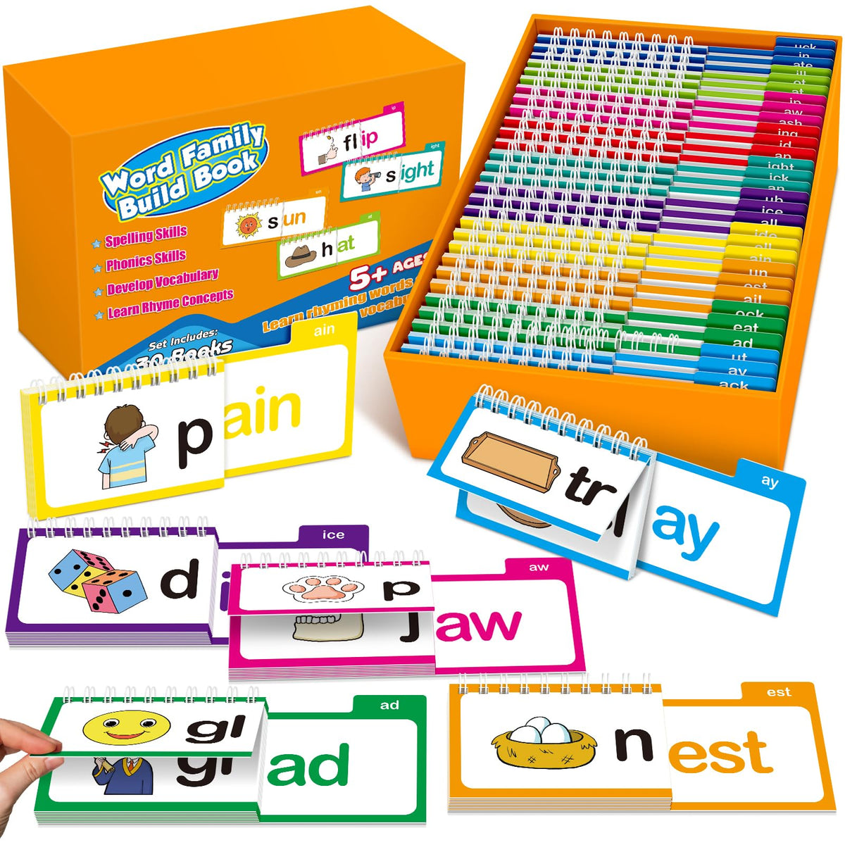 Edulok phonics flash cards for word families support early reading practice