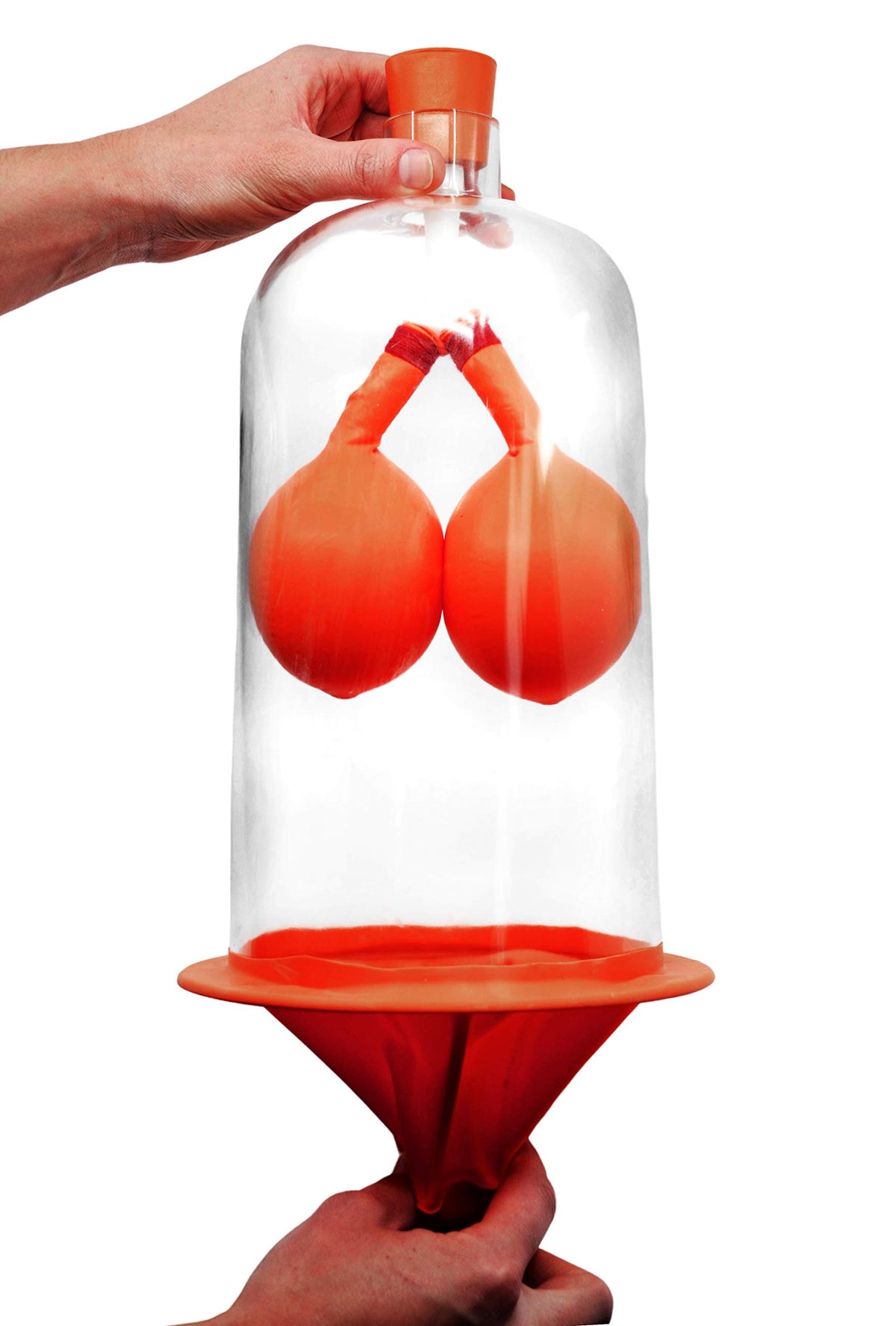 EISCO Lung Function Demo diaphragm: movement visualization for hands-on respiration lesson.