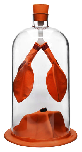 EISCO Lung Function Demonstration Model lungs: visual lungs expansion and air flow in class.