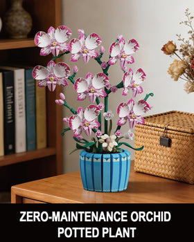 EITOLNR close-up of pink orchid blooms and petal detail for realism.