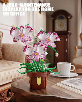 EITOLNR gift-ready orchid kit makes a thoughtful present for flower lovers.