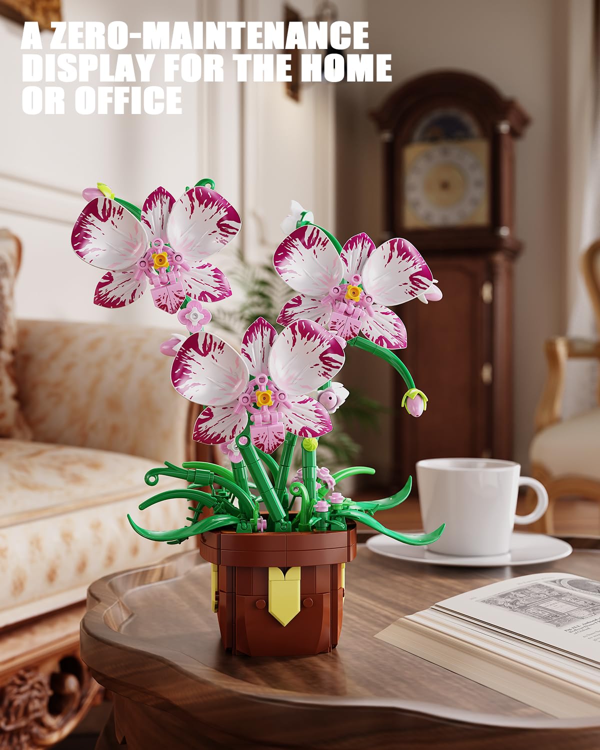 EITOLNR gift-ready orchid kit makes a thoughtful present for flower lovers.