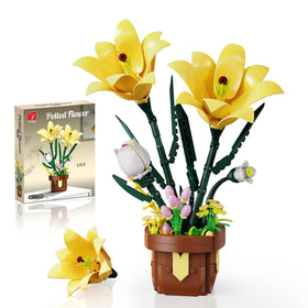 EITOLNR Lily bonsai pot and blooms add elegant decor to your living space.