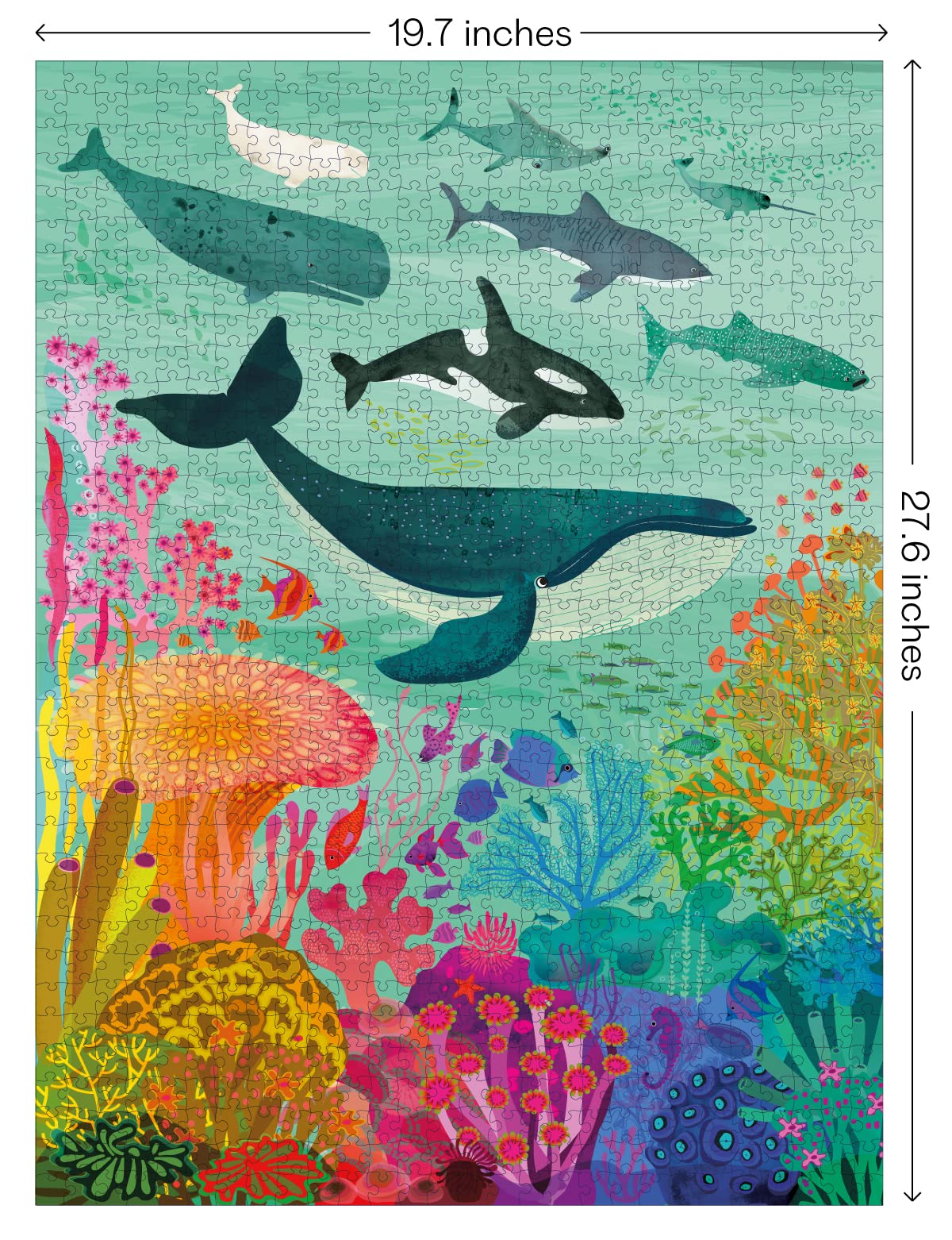 Elena Essex Whale Shark Coral Reef scene showing underwater life for a calming challenge