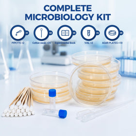 Elikoya LB-agar plates ready for student experiments.