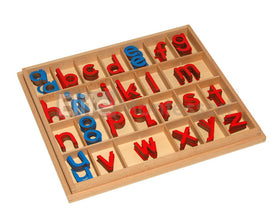 Close-up of the movable alphabet letters aiding letter-sound recognition.