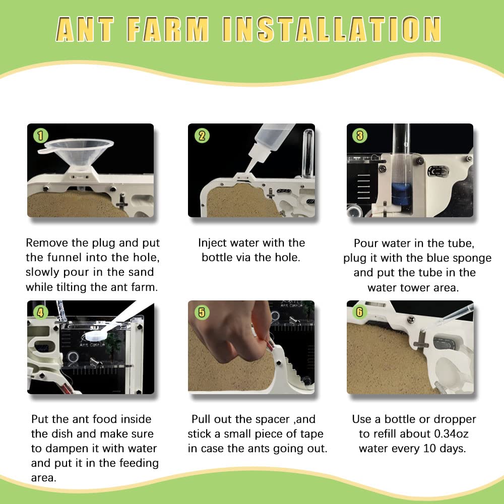 ELNMLHT Ant Farm Castle egg-laying area for colony care.