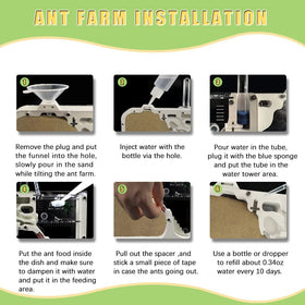 ELNMLHT Ant Farm Castle egg-laying area for colony care.