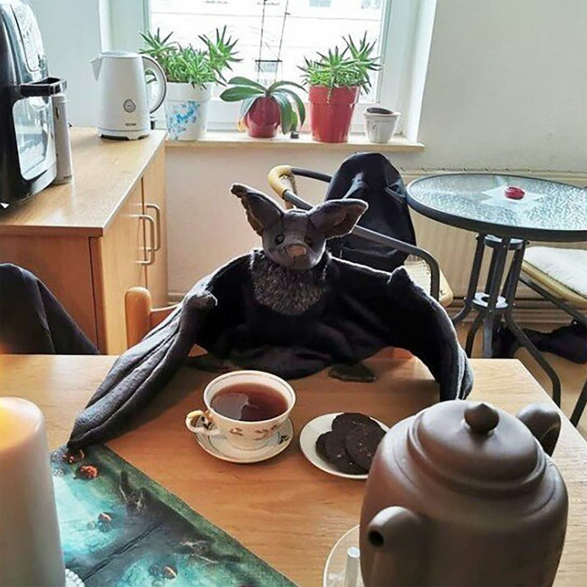 Enivtfz bat plush care guide for easy surface cleaning.