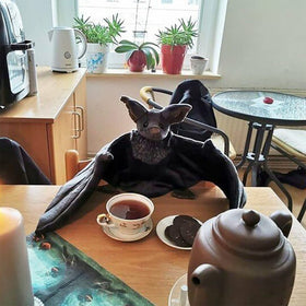 Enivtfz bat plush care guide for easy surface cleaning.