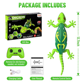 Envyvip RC wall crawler gecko tough build withstands accidental drops.
