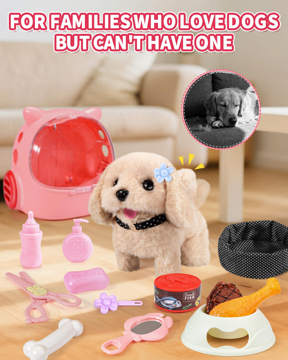 Eohemeral gift-packaged dog toy great for birthdays and holidays