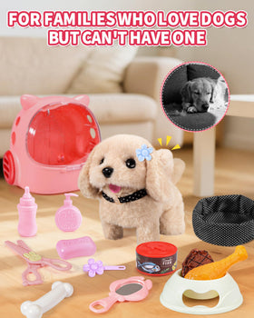 Eohemeral gift-packaged dog toy great for birthdays and holidays