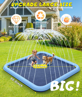 EPN Splash Pad kids and dogs playing outdoors in sunny yard