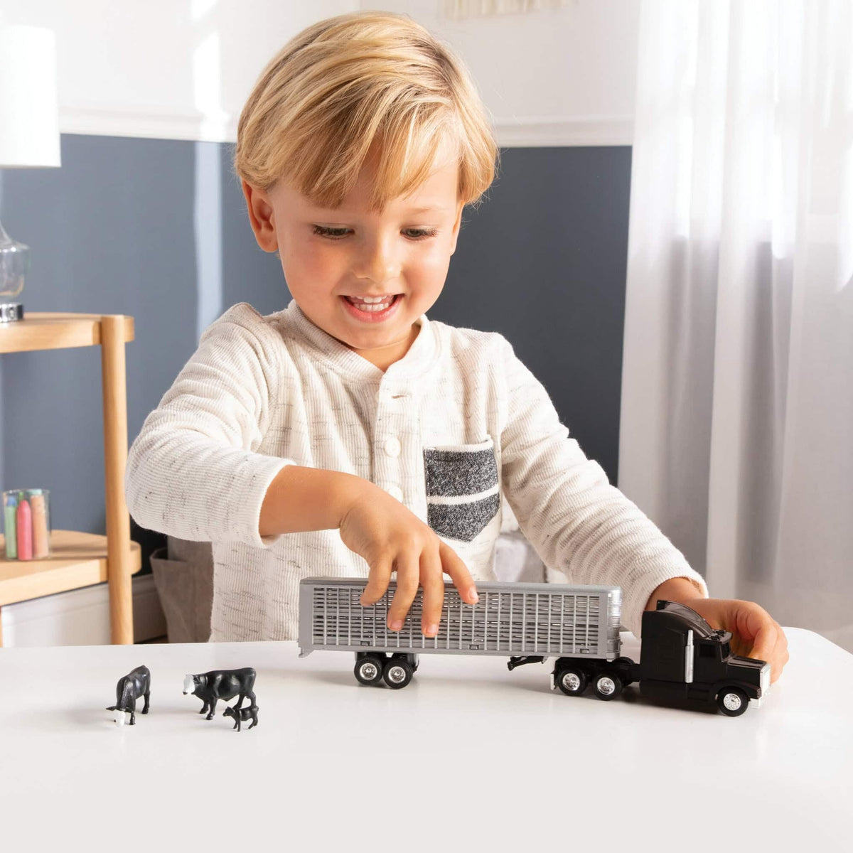 ERTL 1/64 packaging and storage image helps organize the set