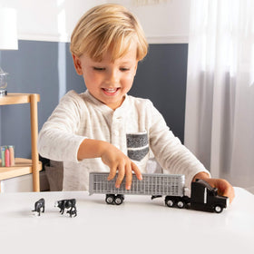 ERTL 1/64 packaging and storage image helps organize the set