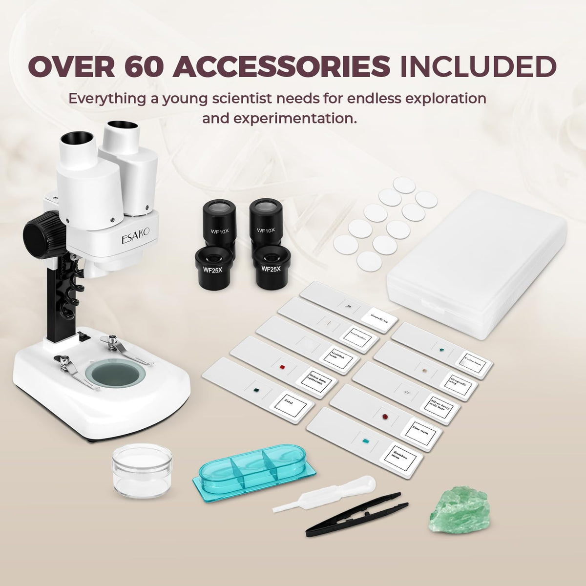 ESAKO Dual LED Kids Microscope brine shrimp setup for hands-on life-cycle observation