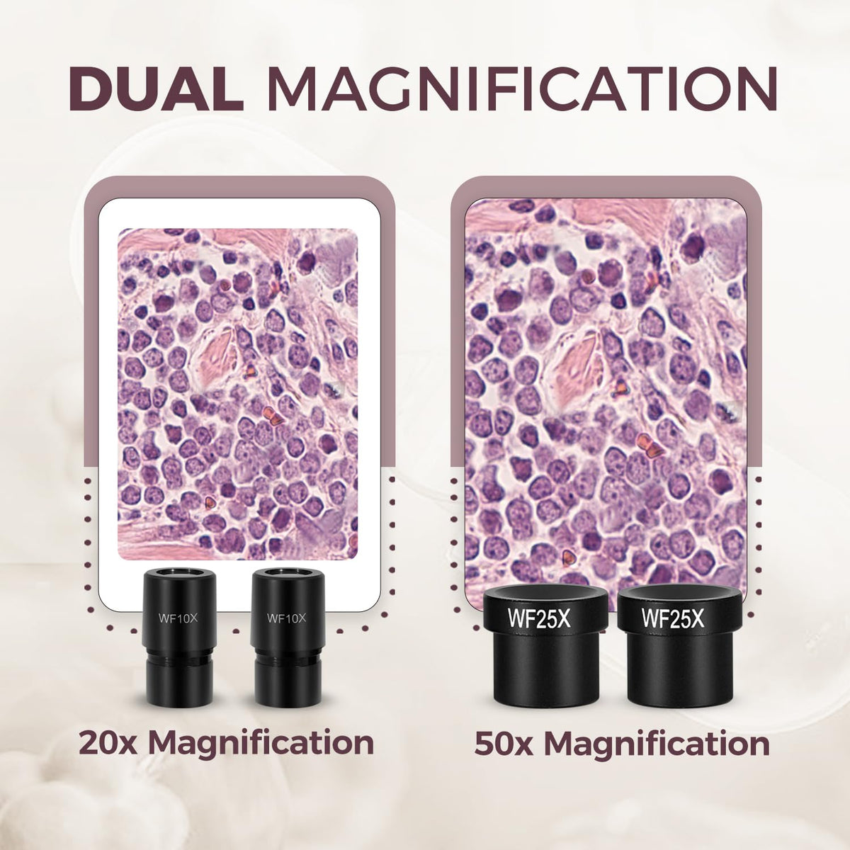 ESAKO Dual LED Kids Microscope prepared slides to study textures and minerals
