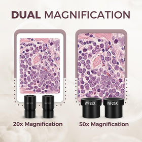 ESAKO Dual LED Kids Microscope prepared slides to study textures and minerals