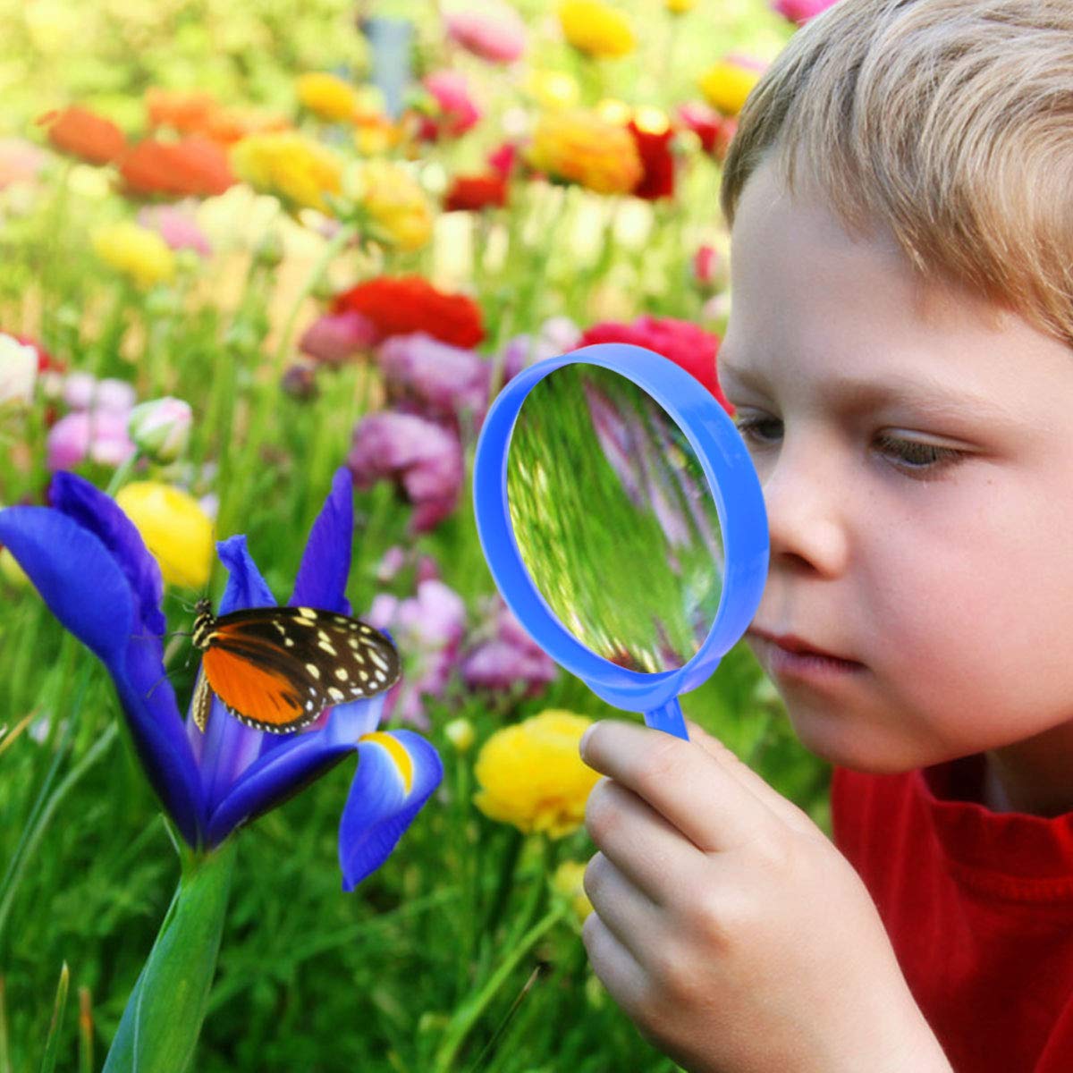 ESSENSON butterfly net for catching and releasing small critters during backyard adventures.