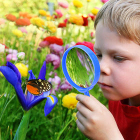 ESSENSON butterfly net for catching and releasing small critters during backyard adventures.