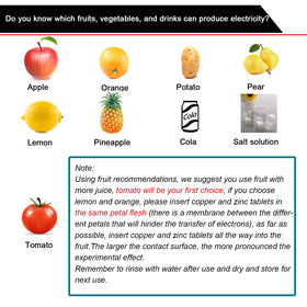 EUDAX copper and zinc sheets for durable fruit battery experiments