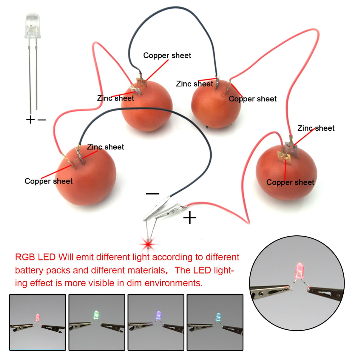 EUDAX fruit-powered clock experiment for hands-on STEM learning