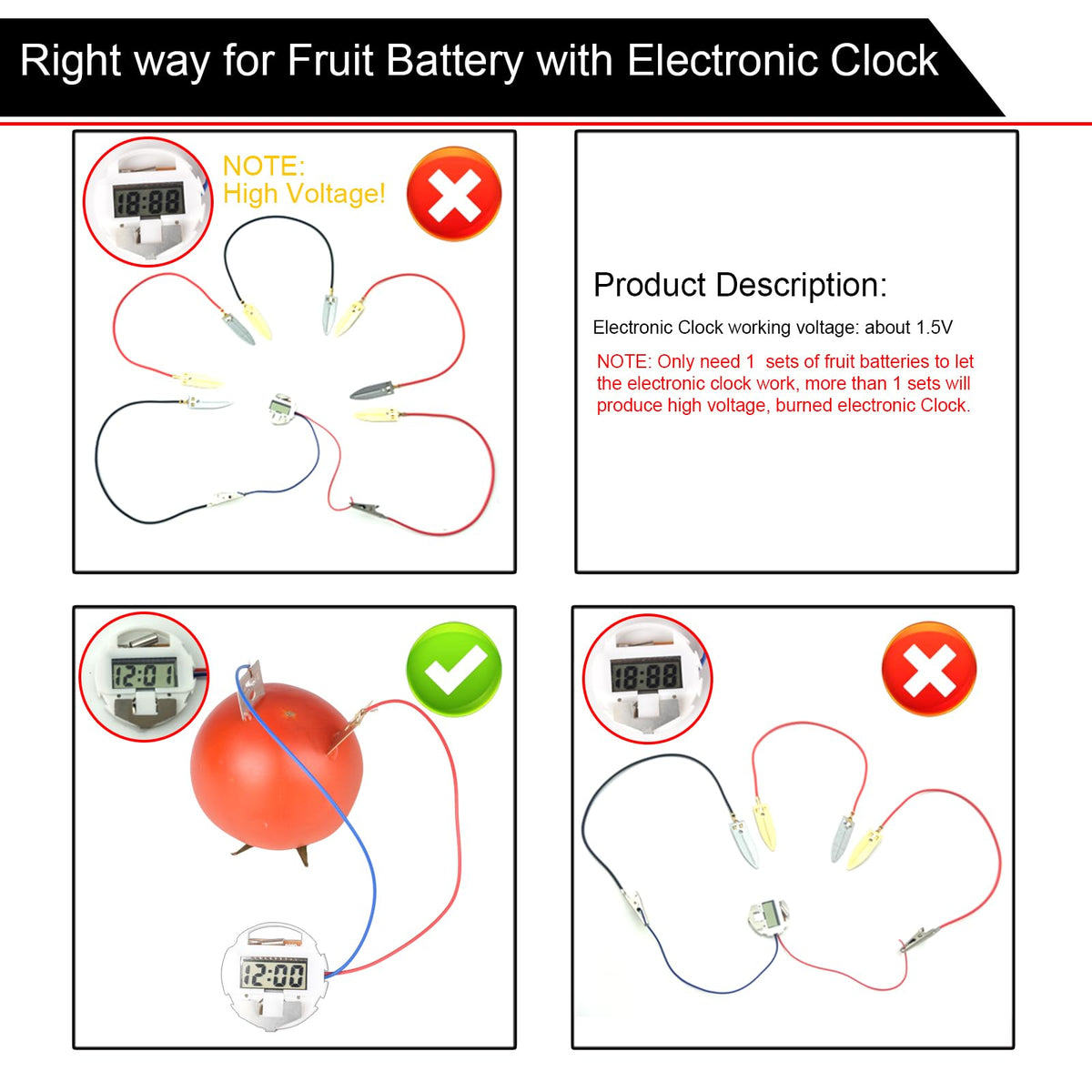 EUDAX RGB LEDs and clock powering from fruit-based circuit